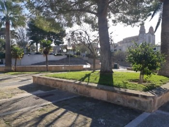 Nueva Plaza de las Collidores d'Oliva (1932).