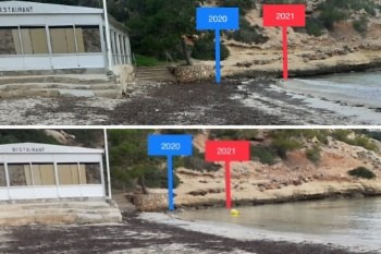 La posidonia ha evitado pérdida de arena en playas.