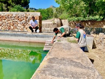 Dispositivos 'salvaaves' en la finca de Galatzó.