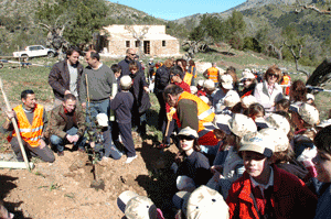 303 escolares plantan 130 árboles en Galatzó.