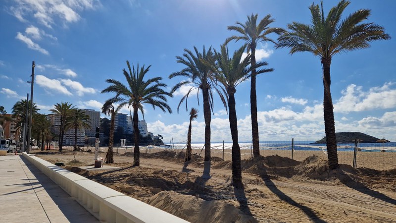 Magaluf para todos: la inauguración del nuevo paseo marítimo se convierte en una jornada de fiesta para residentes y turistas.