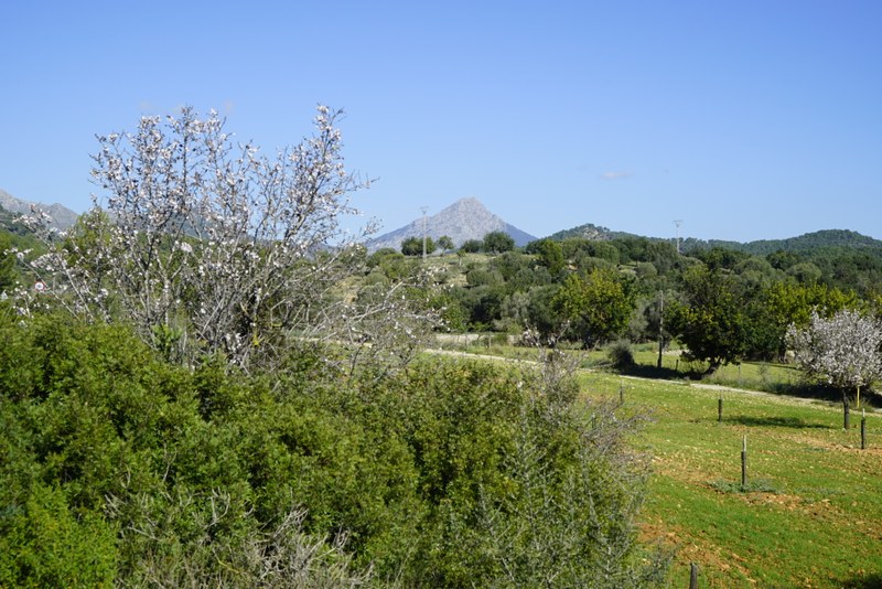 Pancaritat en Familia: una jornada de convivencia y naturaleza en la Finca Pública de Galatzó.