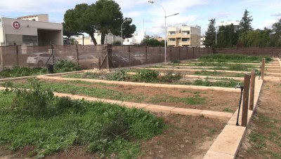 001 Huerto.jpg
