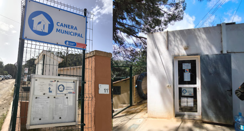 CENTRO DE PROTECCIÓN ANIMAL CALVIÀ
