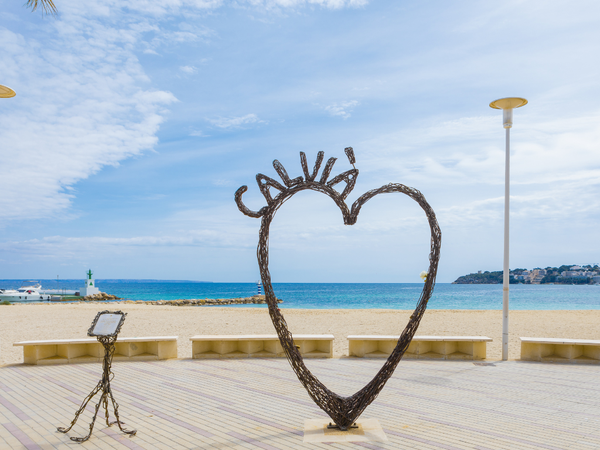 corazón palmanova.png image